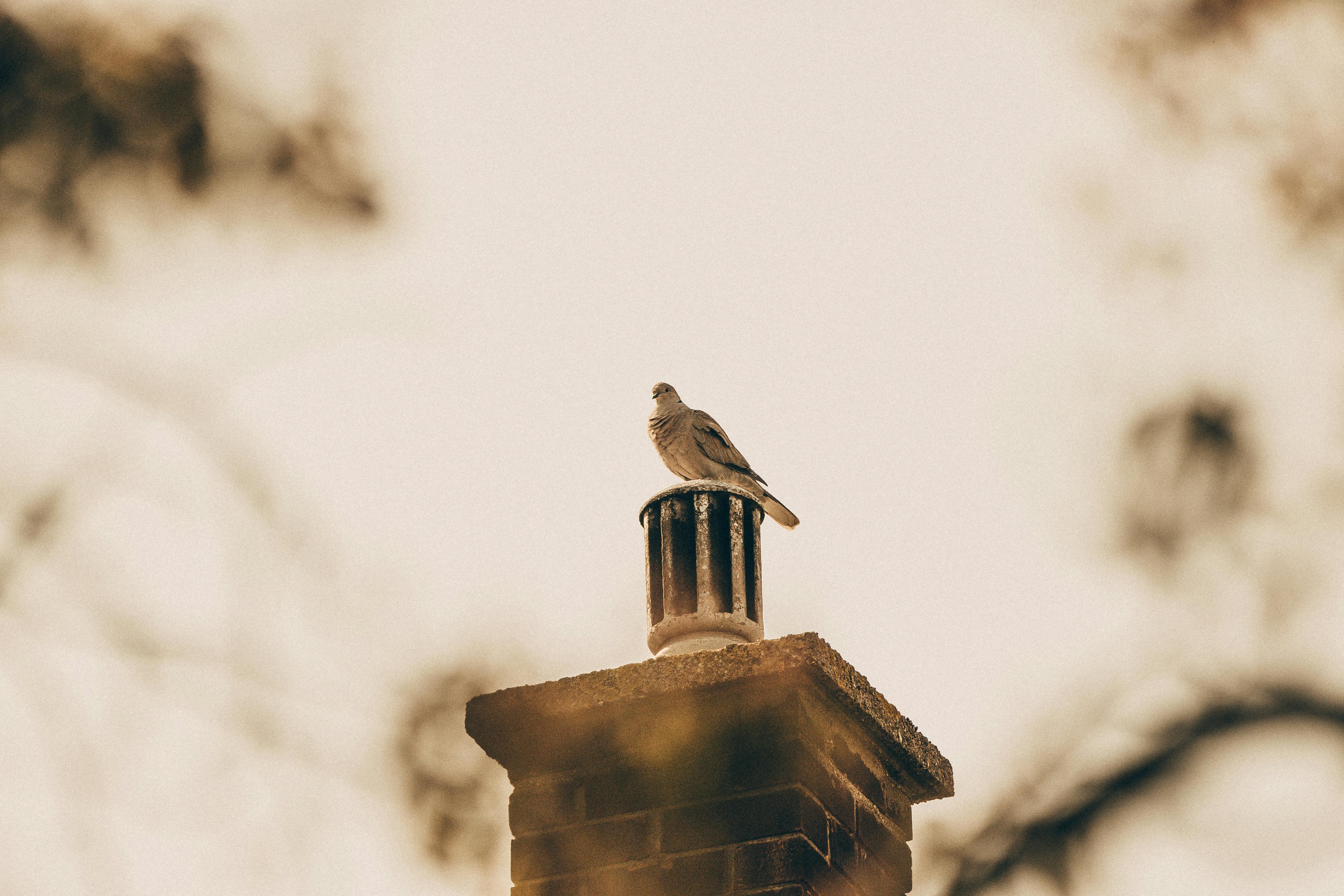 Expert Chimney Cap Installation in Waterbury, Connecticut